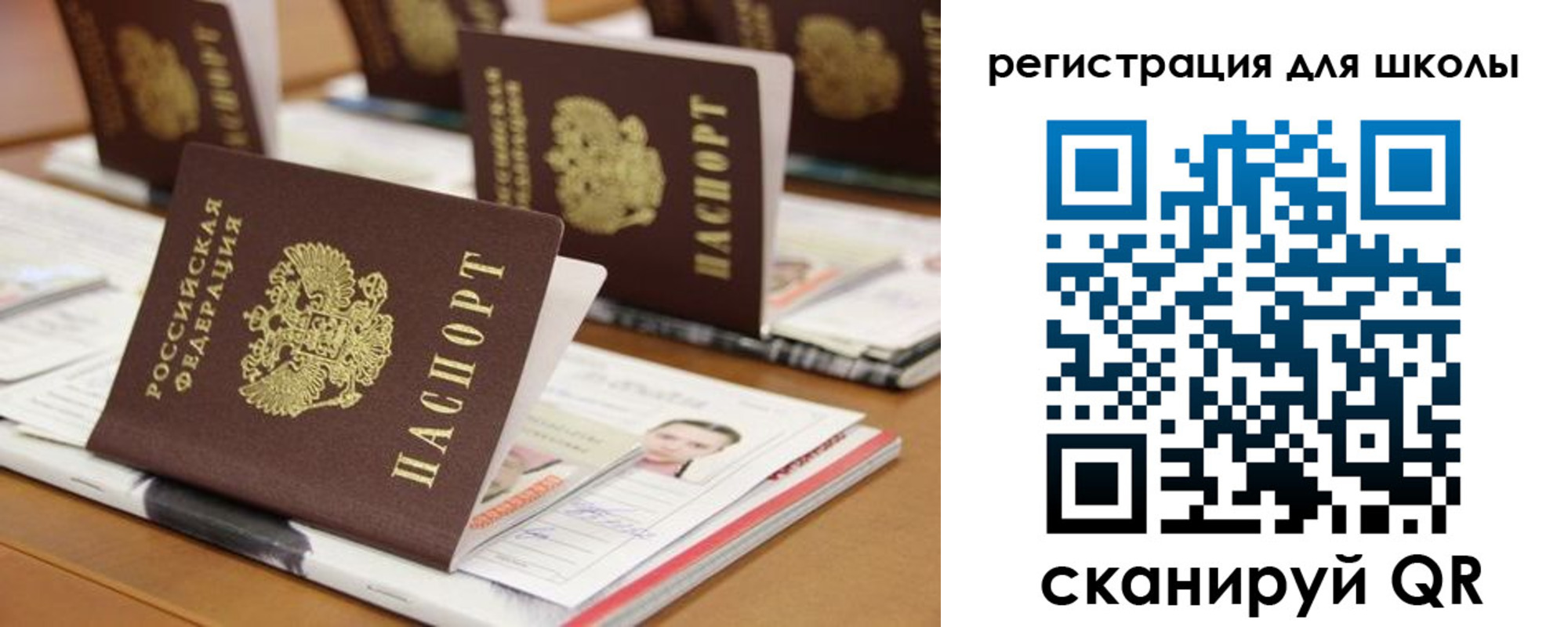 прописка законно в Завитинске